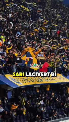 🤩 S T O R Y L İ K  💛 F E N E R B A H Ç E 💙 R E E L S .  .  .  #fenerbahçe #fenerbahce #tadic #acunilicali #alikoc #dzeko #szymanski #gfb #12numara #süperlig #taraftar #fener #fb #1907 #futbol #sarilacivert #kadiköy #fenerekstra #sondakika #mourinho #fenerinmaçıvar #fenerinmacivar