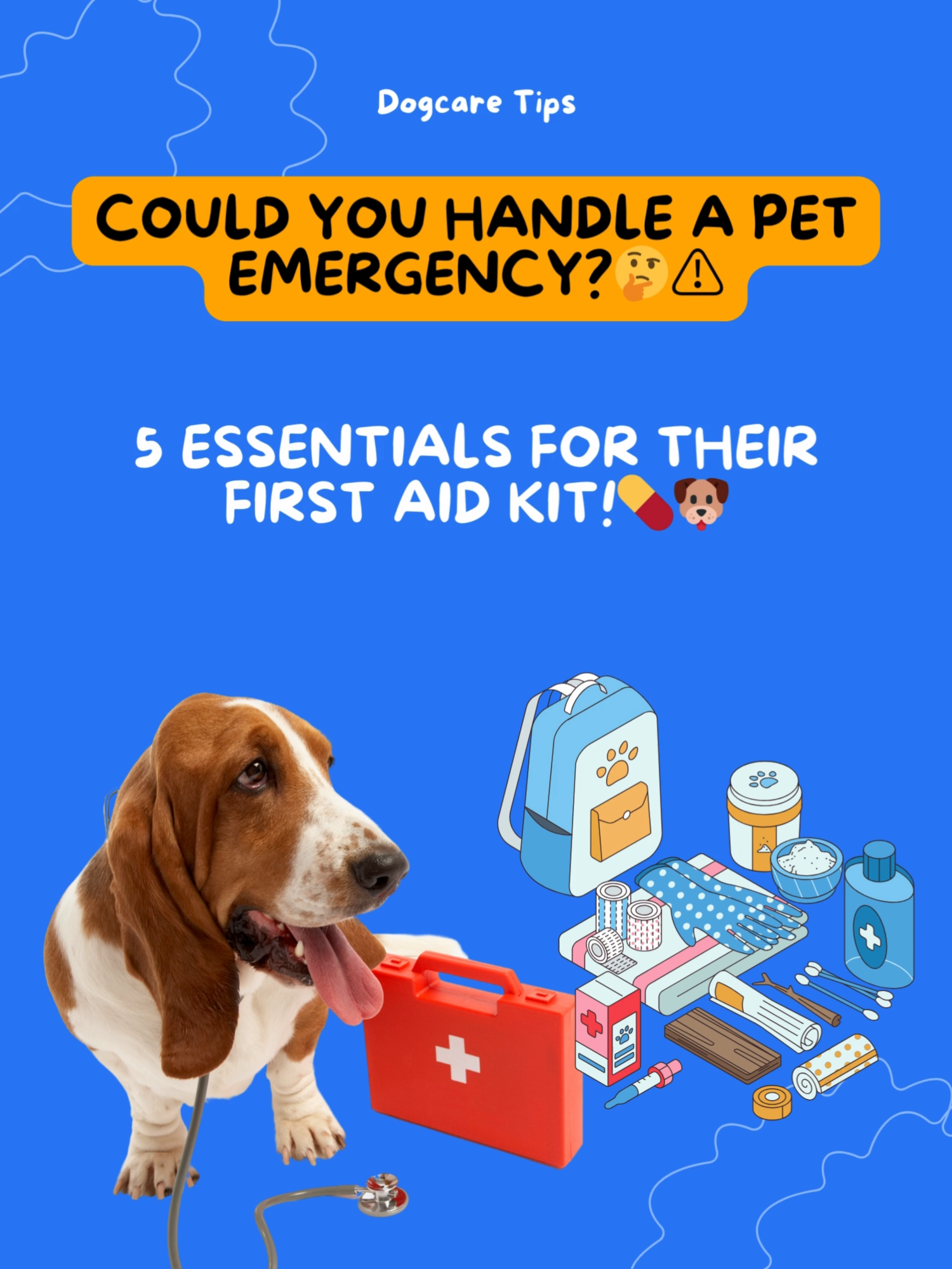 Avoid the Worst 💀  Here's What to Keep in your Dog's First Aid Kit! 🐶💊 #dogtok #doghealth #dogowner #dog #dogcare #petcareadvice #doglovers #doghealthcare