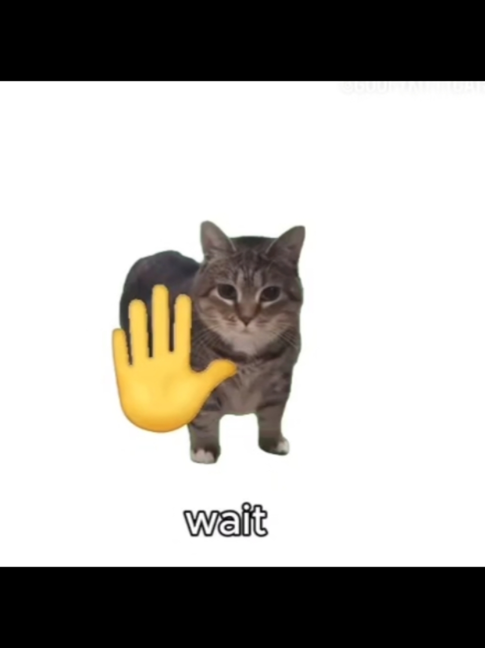 uiaiuuiaiua . . . . . . . . . Source: Instagram reels #cat #wait #trending #trends #meme #memecat #fyp #fypシ #fypシ゚viral #waittrend 