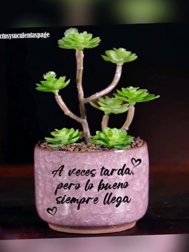 ¡Llena tu día de buenas vibras con frases motivadoras! 🌿✨ Comparte inspiración y transforma tu energía. #FrasesMotivadoras #BuenaEnergía #Inspírate #TendenciasTikTok 