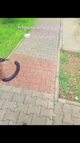 ذكريات #حب #ذكريات #مطر مرسين#سوريا #حب 