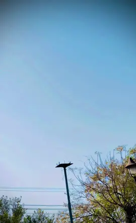 #full #foryou #foryoupage #fypシ 