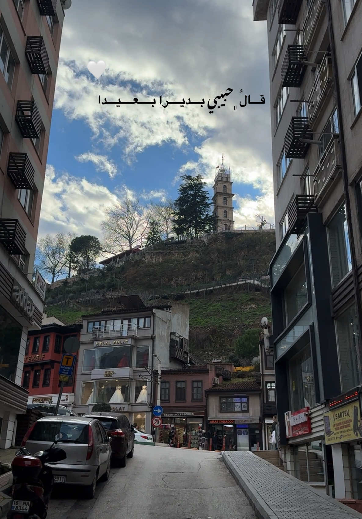وكَم وددت أني كُلما أميل بوجهَي أرآك.🤍