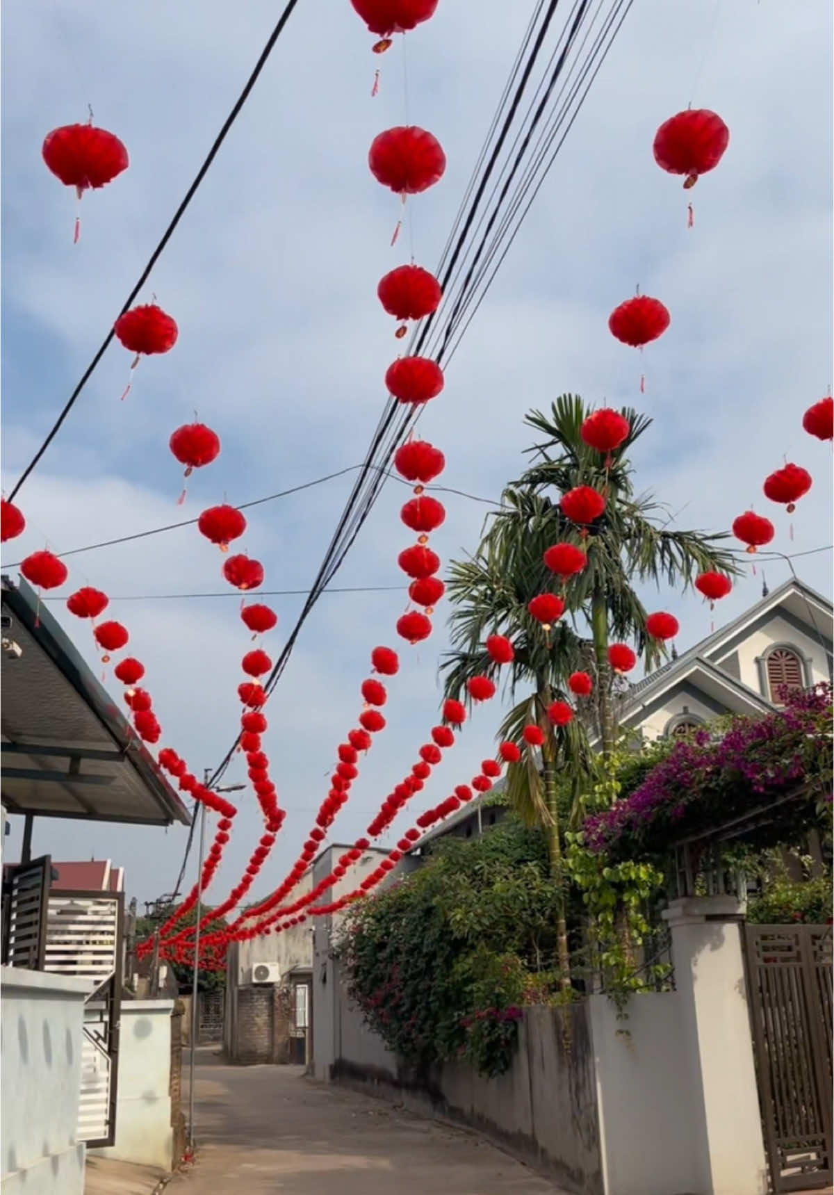 trang trí tết với đèn lồng nilon #xuhuongtiktok #tết ###denlong 