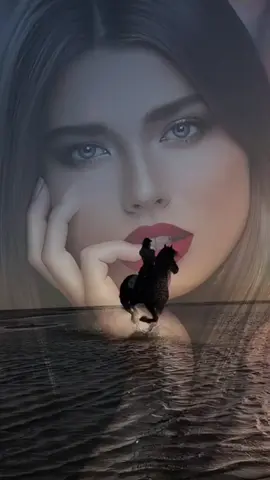 #نشر 