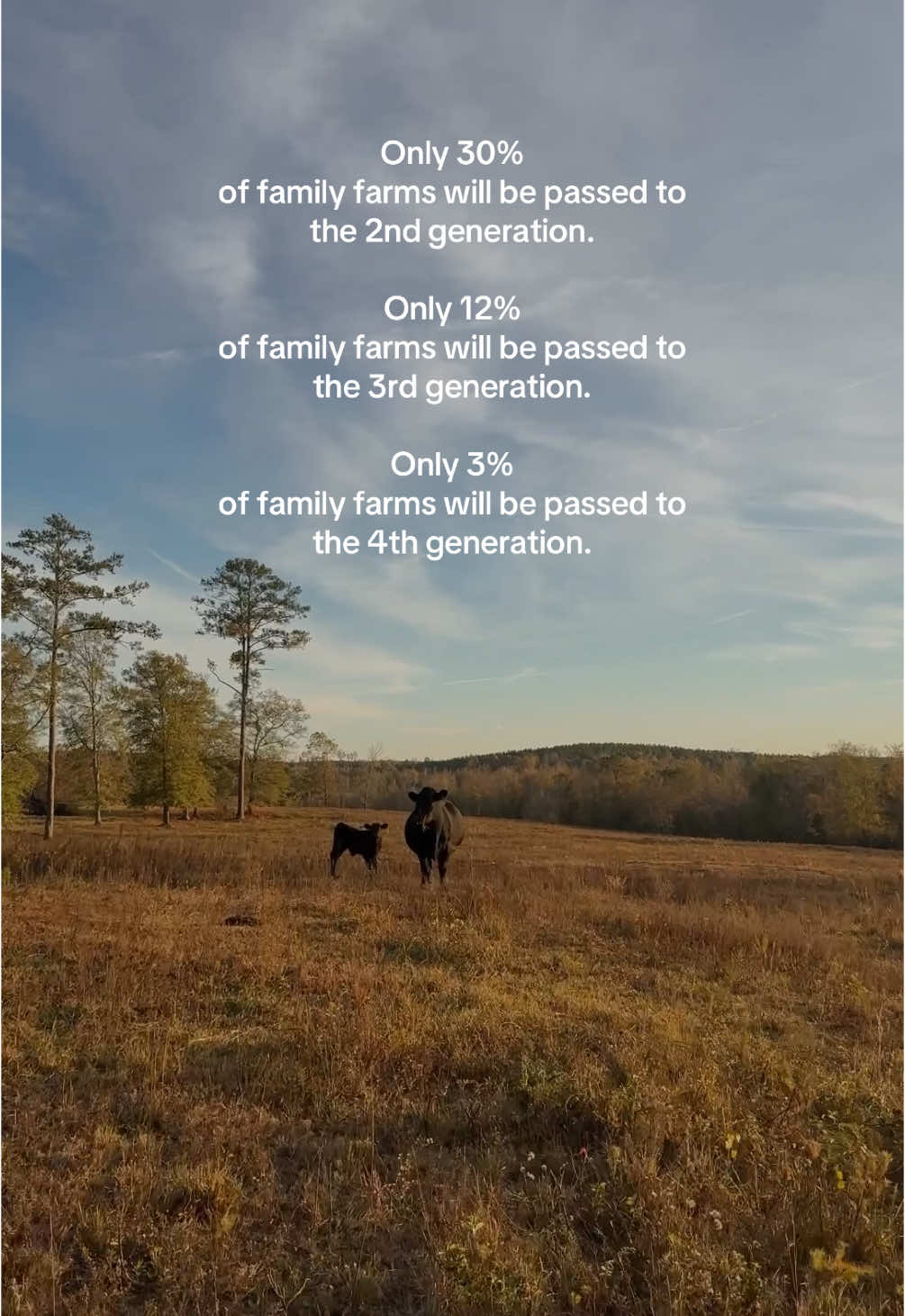 That means that out of 10,000 farms today, only 12 would make it to the fourth generation. Why do you think this numbers are so low? As the third generation to take over my family’s farm, I can see why these numbers are low. With each generation, the risk of the land being divided and distributed among family members increases. Smaller parcels often become too small to sustain independent operations, and family members may choose to sell their portion for quick cash instead. Even when farms are passed down intact, they can often be in a precarious financial position, struggling to adapt to a changing economy making foreclosure and fire sales common.  These numbers are real, and we need to recognize that this kind of loss comes at a cost—a cost that will eventually affect us all.  Source https://www.farmprogress.com/farm-life/keeping-farms-in-the-family-for-future-generations