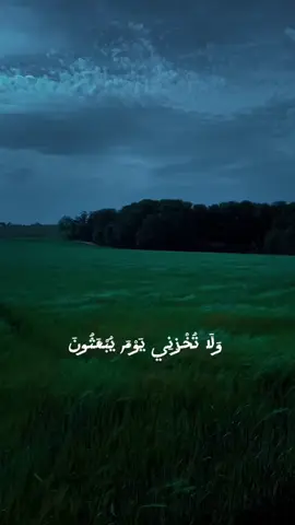 #قرءان #CapCut #ولا_تخزني_يوم_يبعثون #fyp #اكسبلور 