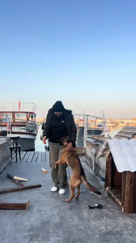 #kafa #goviral #أجمل_المقاطع #الشعب_الصيني_ماله_حل😂😂 #frypgシ #explore #dog #lovedog #❤️