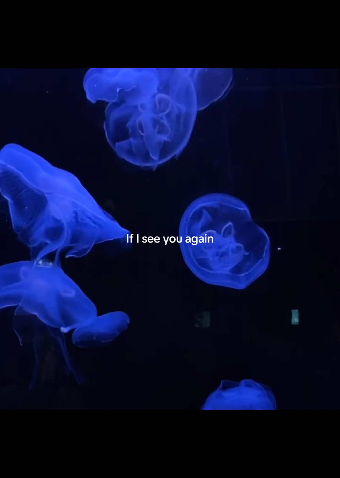 Still With You #jungkook #fyp #foryou #foryoupage #Viral #slowedsongs #winxelf0 