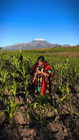 Malaku SanJuanito - Flute #livemusic #anden #dance #ecuador #nature #mountains #traditional #otavalo 