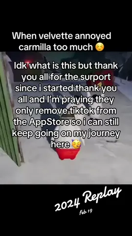TYSM FOR ALL THE SURPORT AND THANK YOU TO THE PEOPLE WHO HAVE BEEN FOLLOWING ME TYSM