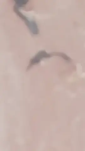 #goviral ##humor #trendingvideo 