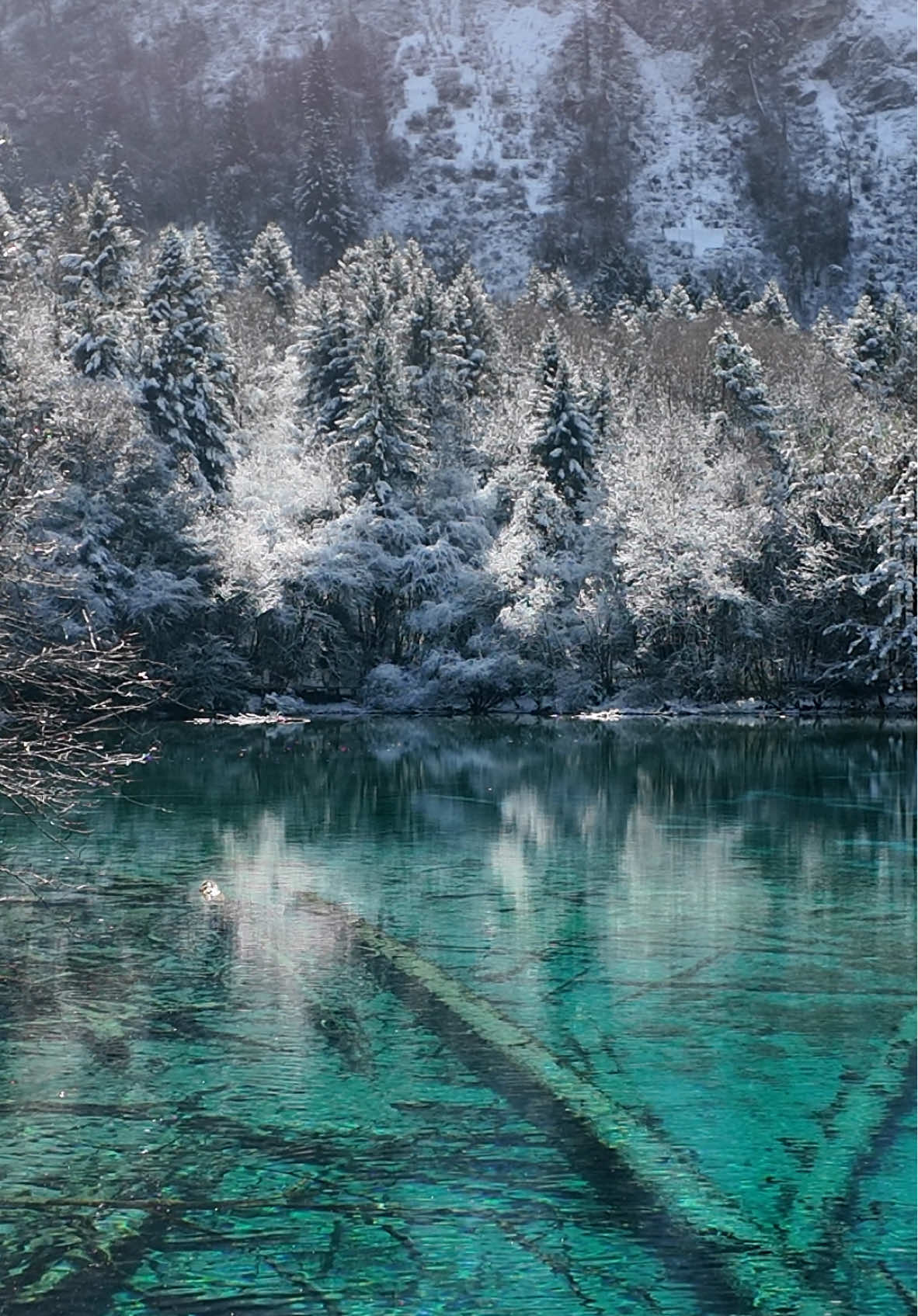 Quite possibly the most beautiful nature scenery on planet earth that I’ve ever witnessed so far 📍Five Flower Lake, Jiuzhaiguo • #jiuzhaigou #fiveflowerlake #fiveflowerlakejiuzhaiguo #jiuzhaigounationalpark #jiuzhaivalley #jiuzhai #affandidiary #affanditraveldiary #affandiinchina 