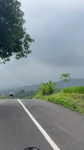 pagi ceria🤙 #trawasmojokerto #jembatanviral 