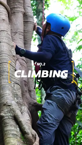 Hiking, climbing, and playing on a giant swing...Click to start your adventure in the tropical rainforest on Jino Mountain in southwest China's Yunnan Province~ #wonderfulChina #amazingChina #XishuangbannaDaiAutonomousPrefecture #travelinChina #tropical #rainforest #Hiking #YunnanProvince