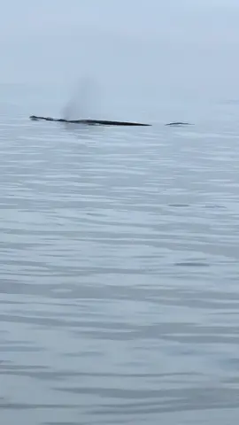 abg kawasa yg punya segantang🏝️ 