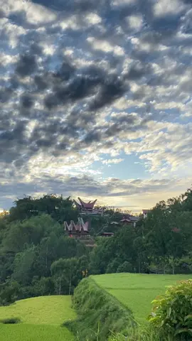 December Toraja #torajasulawesiselatan #toraja #loriuvilla_lolai 