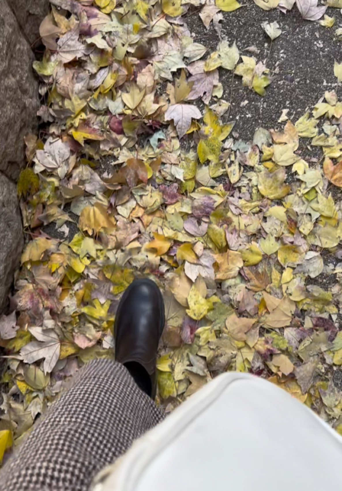 STROLL THROUGH JAPAN TO LUNCH!! #japan #travel 