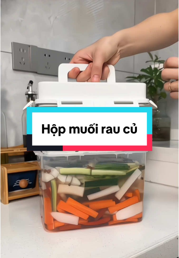 Hộp muối rau củ #giadung #giadungtienich #giadungthongminh #hopmuoiduaca #hopmuoiraucu