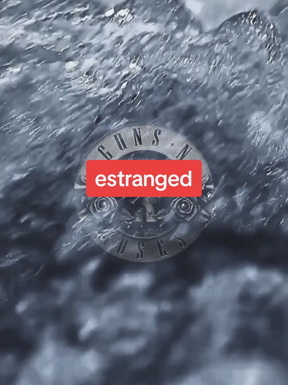 #gunsnroses  #foryou 