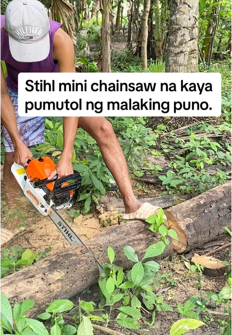 Stihl mini chainsaw Gasoline kayang pumutol ng malaking puno. #stihl #stihlchainsaw #germany #gasoline #gasolinechainsaw24 #20inches #chainsaw20inchesstihl #minichainsaw #tools #tiktokfinds #chainsawman #howtousechainsaw #paanogamitinangchainsaw #originalstihlchainsaw #gasolinechainsaw #stihlgermany #powertools #completetools #completeaccesories #outdoor #farm #farmlife #heavyduty #heavydutychainsaw #agriculture #portablesaw #24inches #20inches #36inch #woodworkingchainsaw #chainsawcutting #madeingermany 