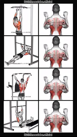 ✅ How to build a wider back  ① Close grip pull-up  ② Inverted row ③ Pull-up  ④ Seated pull-up  3 sets 15 reps 