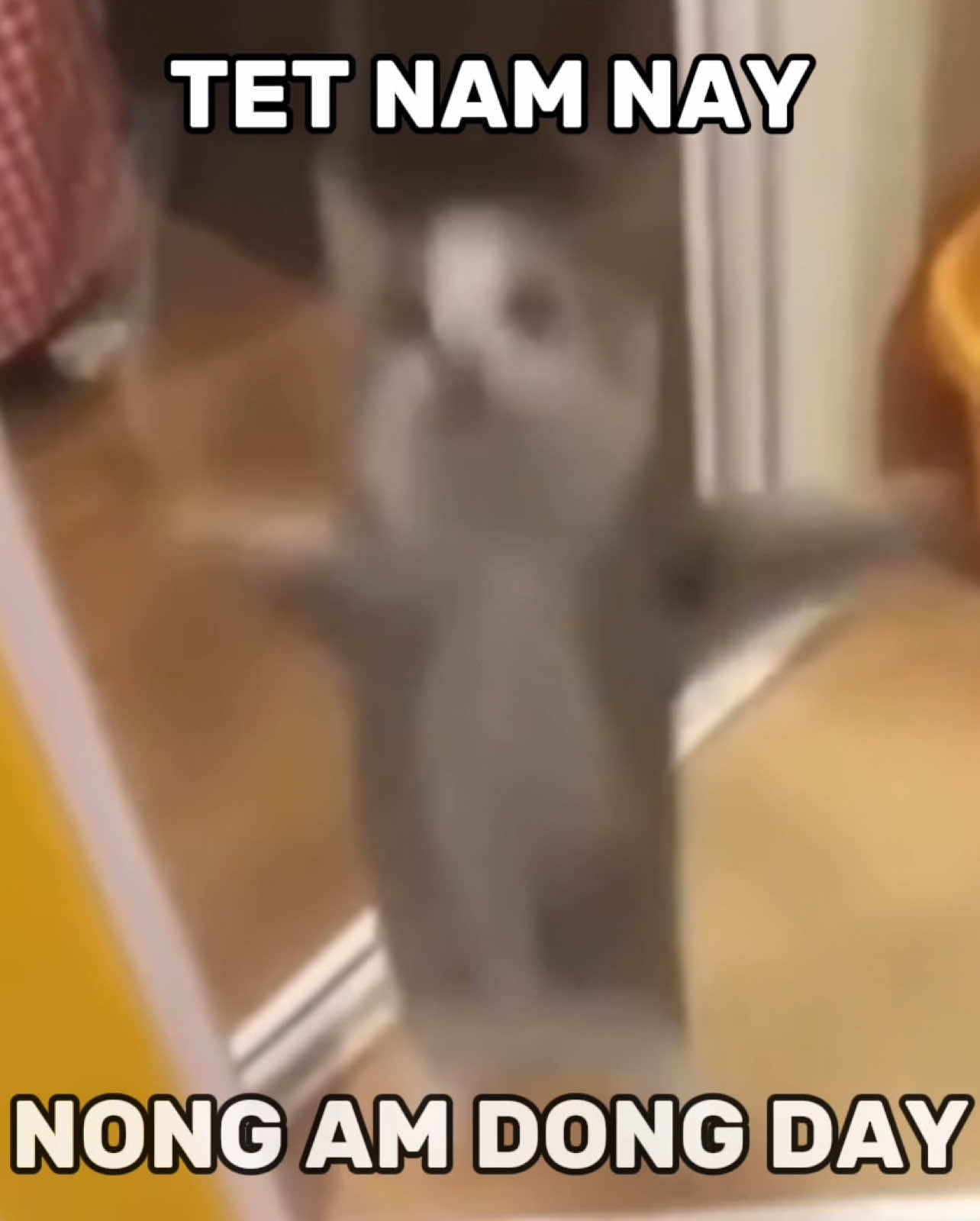 1 NAM MOI BINH AN #fyp @Son Tung M-TP 