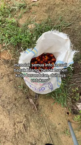 #sawit 