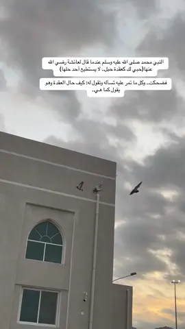 اللهم حبا كحب النبي لعائشة..# تصويري 