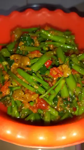 dapur MBAK KIWUL  tumis  kangkung  terasi  kangkung  potong pendek  terasi  cabe rawit merah  cabe merah besar  tomat  rebus  semua ny baru  di blend  setelah  itu tumis  kn tambah  kn  garam  penyedap dan sedikit  gula  #menuhariansimpel  #masakansederhana  #aladapurmbakkiwul 