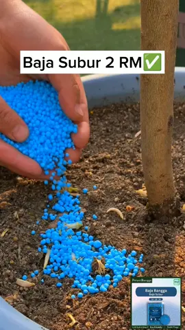 Nak lebatkan semua jenis pokok dan bunga #bajamurah #bajaviral #bajasubur #bajapremium #bajabunga #bungalebat #gardening #kebuntepirumah #farming #fyp 