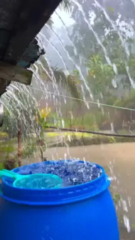Mentahan Hujan Deras...  #mentahan #mentahanvideo #hujan #hujan🌧️ #hujanderas #kampung #desa #pedesaan #cirebon #fyp #fypシ #fypシ゚viral #fypage #viral #viralvideo #viraltiktok #tranding #trandingvideo 