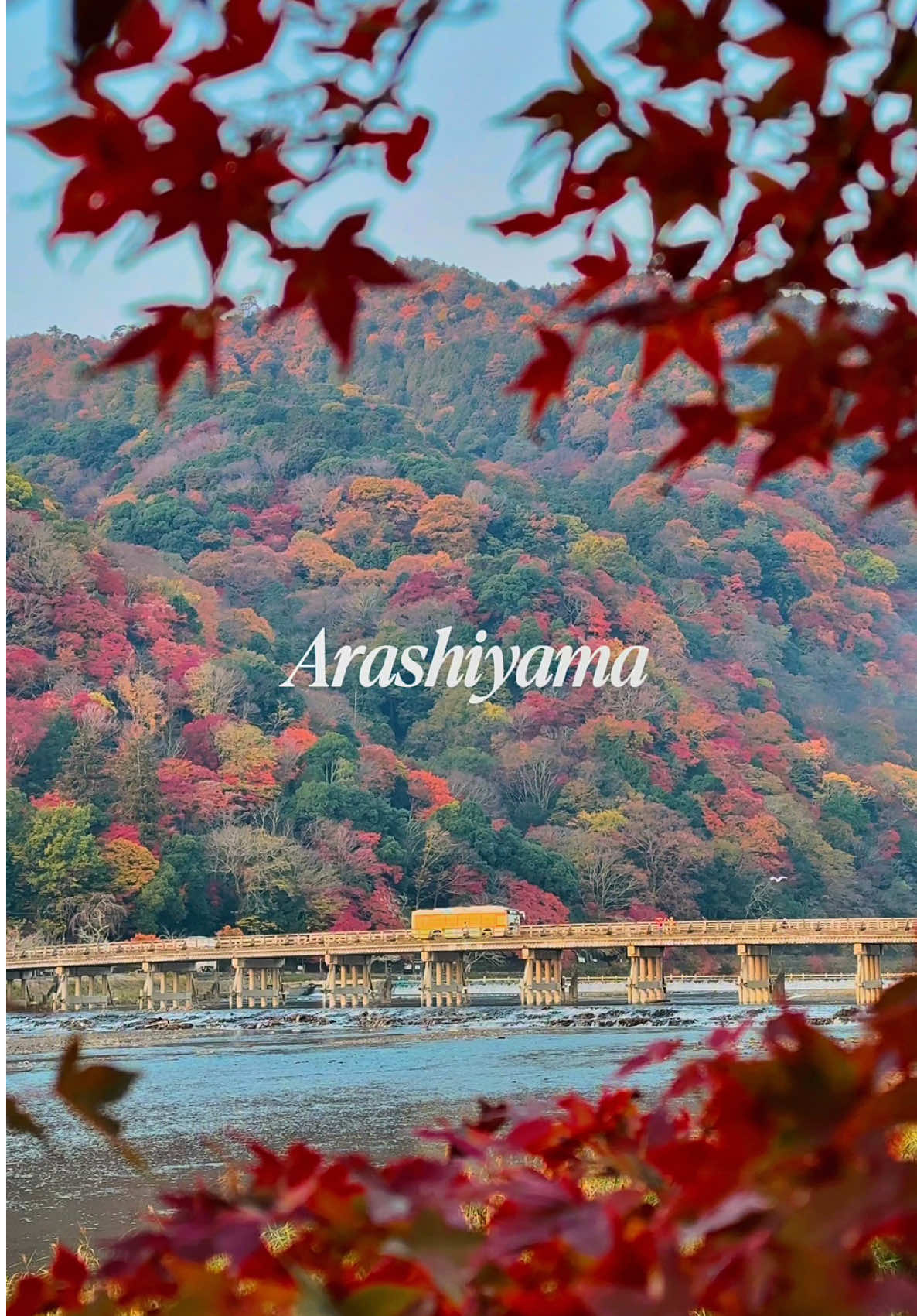 Beautiful Autumn in Arashiyama🍁✨️ 📍Kyoto / Japan🇯🇵 🗾 京都 日本三大紅葉名所の一つ嵐山の紅葉が今年もとても美しかったです🍁🥰 The autumn leaves in Arashiyama, one of Japan's three most famous autumn foliage spots, were beautiful again this year🍁🥰 【Location】 📍嵯峨野トロッコ列車(Sagano Scenic Train) 📍渡月橋(Togetsukyo Bridge) 📍法輪寺(Horinji Temple) 📍嵐山通船(Yakata-Bune of Arashiyama) 📍常寂光寺(Jojakkoji Temple) 📍二尊院(Nison-in Temple) 📍厭離庵(Enrian) 📍祇王寺(Gionji Temple) 📍化野念仏寺(Adashino Nenbutsu Temple) 📍愛宕念仏寺(Otagi Nenbutsu Temple) 📍嵯峨鳥居本(Saga Toriimoto) 📍宝厳院(Hogon-in Temple) 📍宝筐院(Hokyo-in Temple) 📍天龍寺(Tenryu-ji Temple) 📍清凉寺(Seiryoji Temple) 📍大覚寺(Daikakuji Temple) 📍祐斎亭(Yusai-tei) 【お知らせ】 遂にサブスクリプションの運用をスタートしました‼️ 私のサブスクにご登録すると、極上の癒しを提供いたします💞1人でも多くの人に癒しをお届けしたいという思いで活動を続けているので応援と思って登録して頂けるととても嬉しいです。良かったらよろしくお願い致します🥰 [Announcement] Finally, subscriptions have started!️ If you sign up for my subscription, you will receive the ultimate healing💞I continue my activities with the desire to bring healing to as many people as possible, so I would be very happy if you would sign up as a sign of support. Thank you if you like🥰 ✼••┈┈┈┈••✼••┈┈┈┈••✼ ✔🗓Autumn in Kyoto in 2024 ▪️Beautiful places in japan🇯🇵 ▪️Please check out➴⡱@matcha.camera ▫️𝙲𝚊𝚖𝚎𝚛𝚊:  iPhone15promax / Insta360 Flow Pro ✼••┈┈┈┈••✼••┈┈┈┈••✼ #japan #japantravel #japantrip #anime #temple #kyoto #autumn #autumnleaves #toji #arashiyama #tenryuji #otaginenbutsuji #kyototrip #kyotojapan #kyototravel #京都 #紅葉 #嵐山 #渡月橋 #天龍寺 #宝厳院 #常寂光寺 #祐斎亭 #祇王寺 #嵯峨野トロッコ列車 #京都旅行 #そうだ京都行こう #日本の風景 