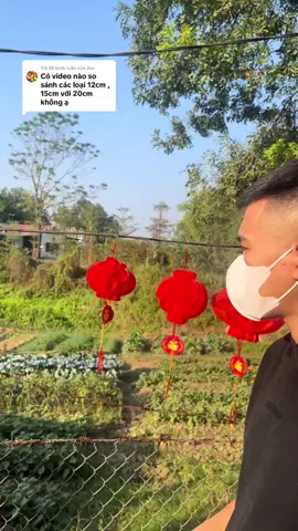 Trả lời @Dui  dạ có ạ #tet2025 #denlongdienxoay360 #denlong #denlongdo #denlong1k #denlongtrangtritet 