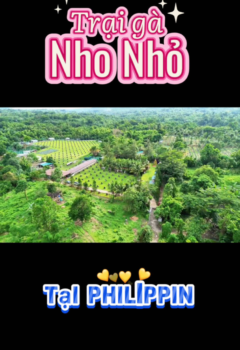 Trại gà nho nhỏ của người ta 😁