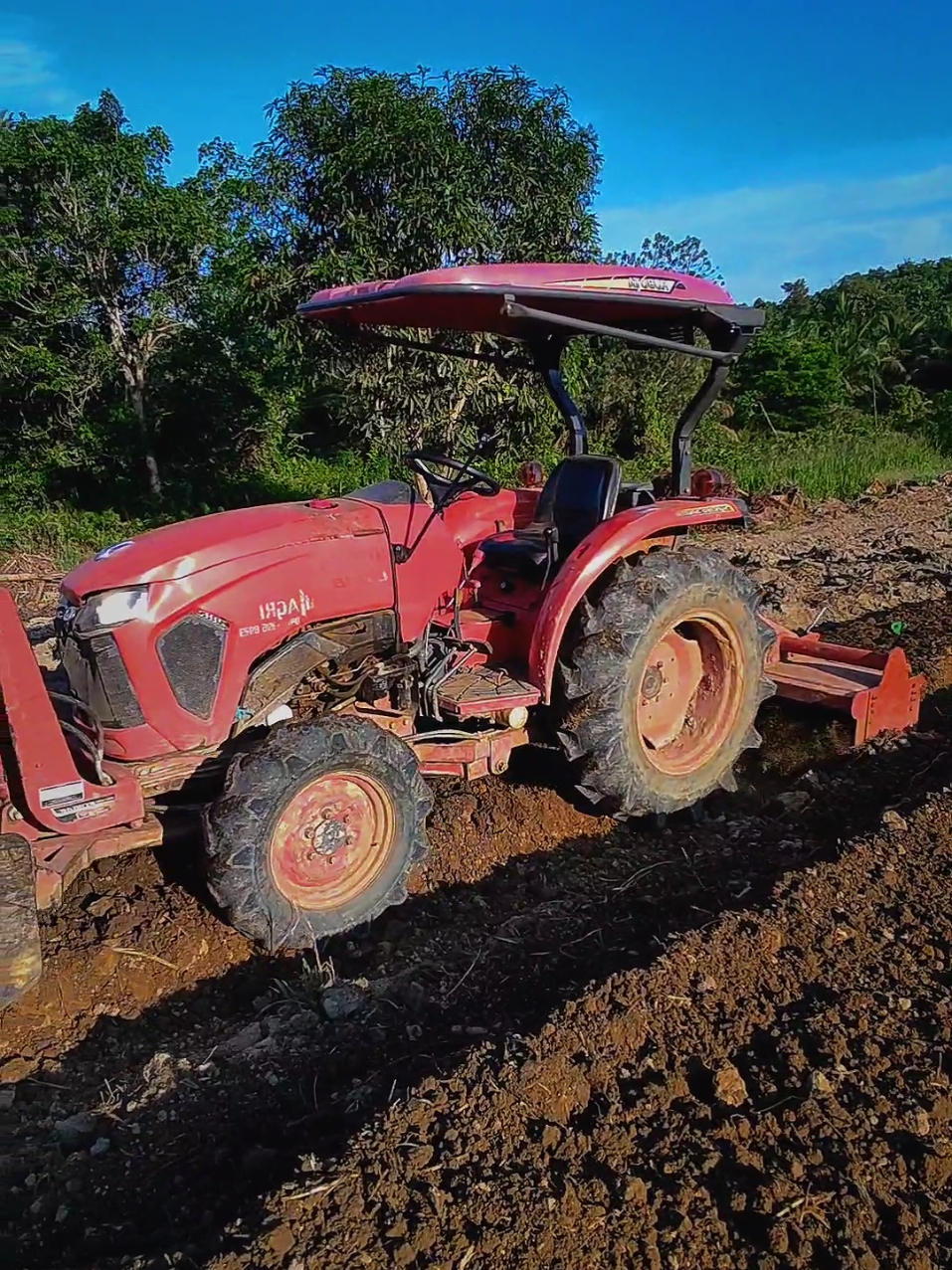 jika capek lepaskan lah😅 tapi malah mblandang,, #jondere #operatortraktor #kubota 