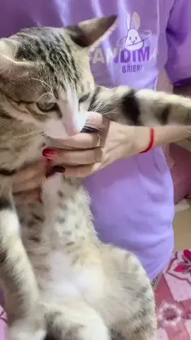 អូន 6kg ហើយ🐈