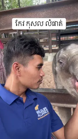 អូនលំផាត់🥰🍼 ដល់ម៉ោងមឹមៗដោះគោអូនលំផាត់