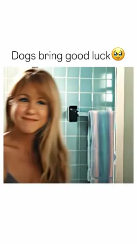 Follow @snapflickstories For More! Dogs always bring you good luck 🥺❤️ Marley & Me is a heartwarming and touching memoir by John Grogan! It's about the story of John and his family, who adopt a rambunctious Labrador puppy named Marley. The book chronicles the ups and downs of their lives with Marley, who brings them joy, chaos, and eventually, a deeper understanding of love, loyalty, and the importance of family. Throughout the book, John shares hilarious and sometimes heartbreaking anecdotes about Marley's antics, from destroying furniture to providing comfort during difficult times. As the years go by, Marley becomes an integral part of the family, and John reflects on the lessons he learns from his furry friend about living life to the fullest and cherishing every moment. #nostalgia #throwback #throwbackclips #reelvideo #viralreels #fyp #foryou #viralvideos #viral #nostalgic #memories #goodolddays #childhoodcore #childhood #childhoodmemories #timegoesfast #marleyandme #pregnant #dogs 