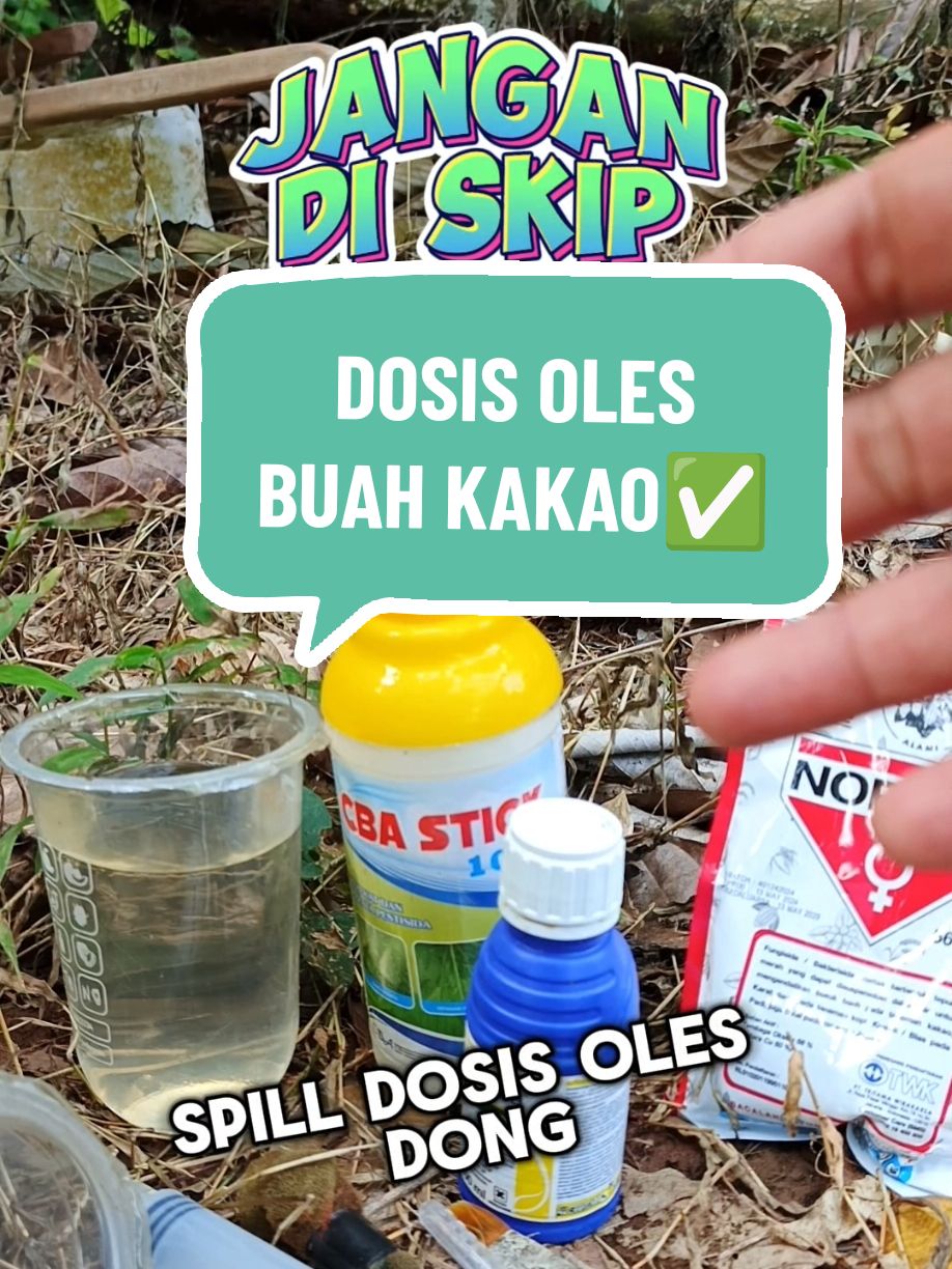 Membalas @ildansyakir906Dosis oles buah kakao untuk mengendalikan hama PBK dan BBK #kakao #kebun #hamakakao 