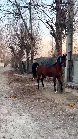 #keşfetteyizzz #beniönecikart #keşfetteyizzz #beniönecikart #keşfetteyizzz #beniönecikart #keşfetteyizzz #beniönecikart #keşfetteyizzz #beniönecikart 