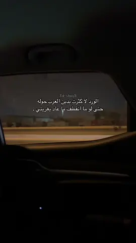 الورد لا كثرت يدين العرب حوله حتى لو ما انقطف ما عاد يغريني .