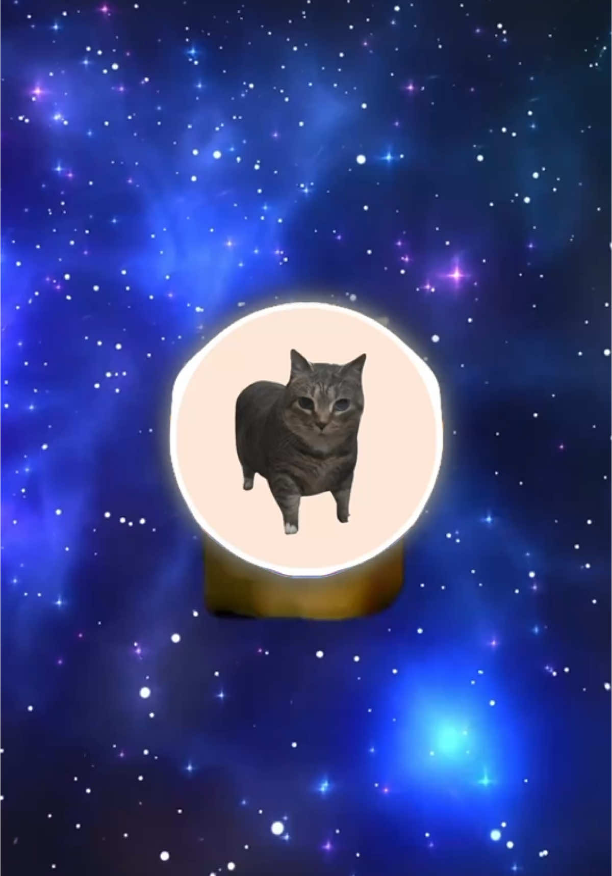 o i i a e Ringtone is here 🐈‍⬛ 🌪️ Download from Link in Bio now 📲 #oiia #cat #ringtone #marimba #fyp #explore 