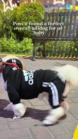 So cutieeee!!! #overallclothes #dogclothes #petclothes #petaccessories #clothesforpet 
