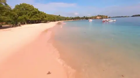 Pink Beach #lombokfpv #3dprinting #vtol 