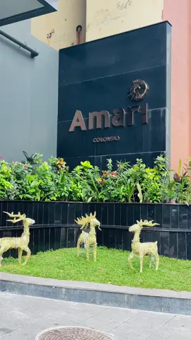 📍Amari Hotel Colombo✨ ඒ view එක 🙈🤩 Owner : Winil Gems - විනිල් මැණික් #AmariHotels #amaricolombo #5starhotel #srilanka #luxury #hotel #cityviews #seaview #luxuryhotel #unlimitedlunch #buffet #colombo #food #sky #rooftop #dayoutvibes #fypシ゚#vinilgems #followerseveryone 