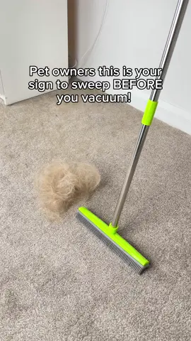 This is your daily reminder 🥰 #pethairremoval #cat #CleanTok #cleaninghacks 