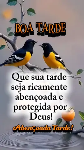#boatarde #motivação #mensagem #statusparawhatsapp #tiktokviral 