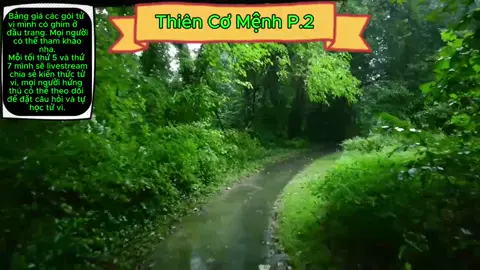 Sao Thiên Cơ ở cung mệnh(P.2) #Tuvi #Tửvi #TửViViệtNam #TinhDiệu #TửViLýSố #ThiênCơ #ĐạoGiáo #HuyềnHưQuán #TửViNamPhái #TửViBắcPhái #HuyềnHọc #tựhọctửvi #lásốtửvi #luậngiảitửvi #CungTậtách #Tamhợpphái #Tửviluậnsinhmạng #Xemtửvichitiết #Tửvimiễnphí #Tửvicổhọc #ĐạoSĩ #TamThành #Tửviluậntiềnbạc #Tửviluậncôngdanh #MệnhLý #SốPhận #Tàivận