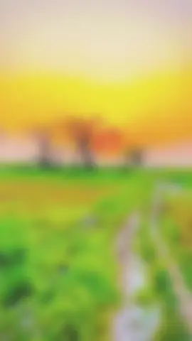 اللہ جانڑدائے میرے وس نئ💔🥺#foryou #fyp #urdushayari #punjabipoetry #kawishtamimi #dailystatus52🥀 #ch #viral #500k #standwithkashmir @TikTok for Business 